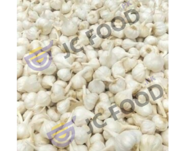 Garlic