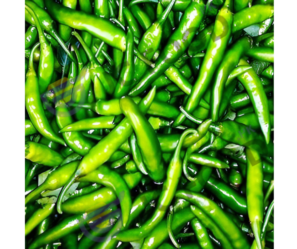 Green Chillies