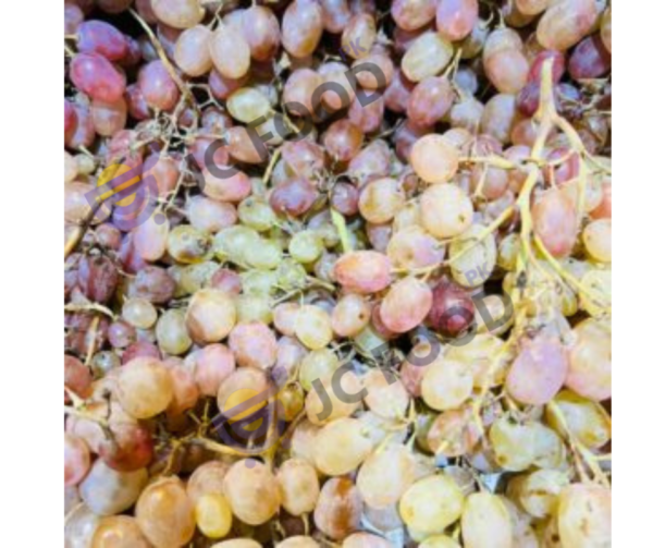 Big Grapes (Angoor)