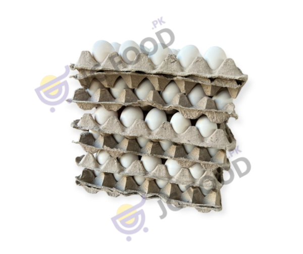 Full Size Eggs 1 TRAY(30)