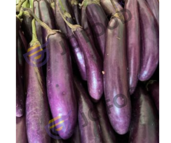 EGGPLANT